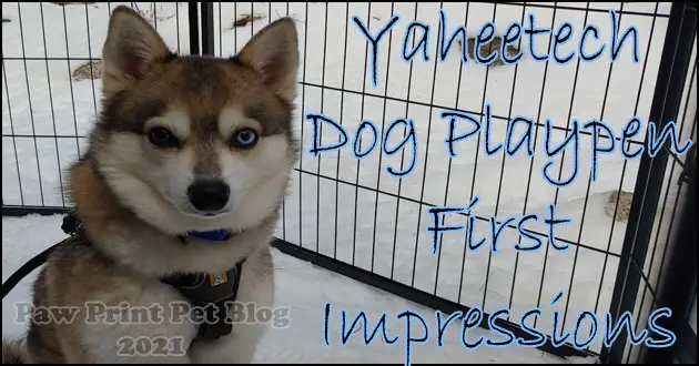 Yaheetech Dog Pen Review