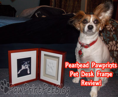 Mahogany Pearhead Paw Prints Pet Desk Frame Review Paw Print