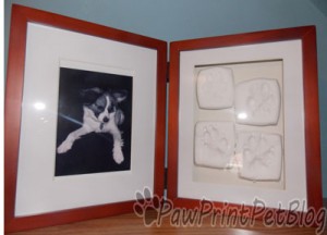 frame for clay paw print