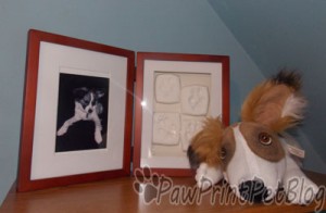 Pearhead Pet Frame Review