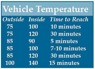 dog hot car safety