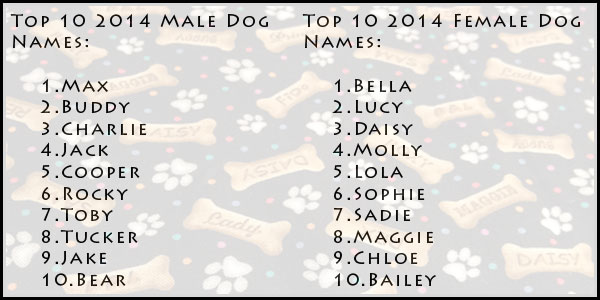 Most Popular Dog Names Of 2014 Paw Print