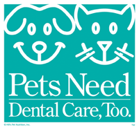 pet dental health