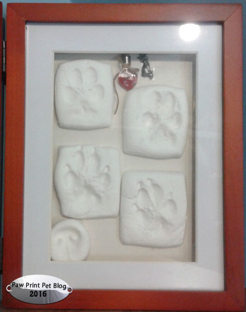 dog shadow box