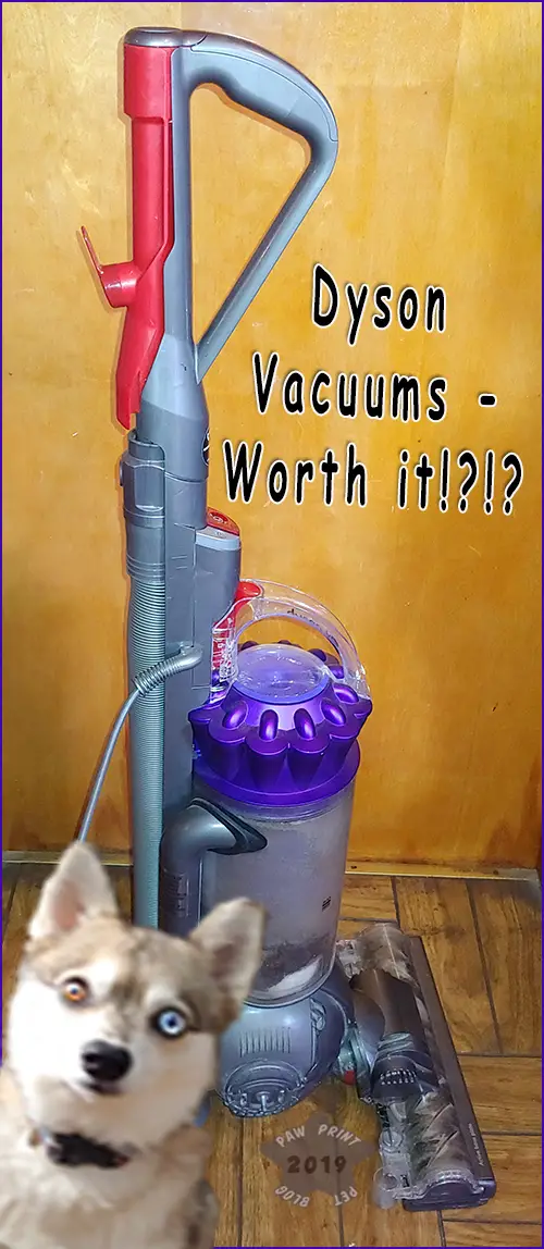 Dyson Vacuum