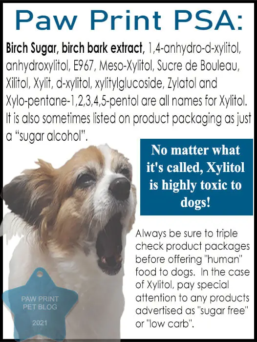 Xylitol dogs