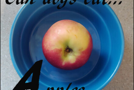 dogs apples