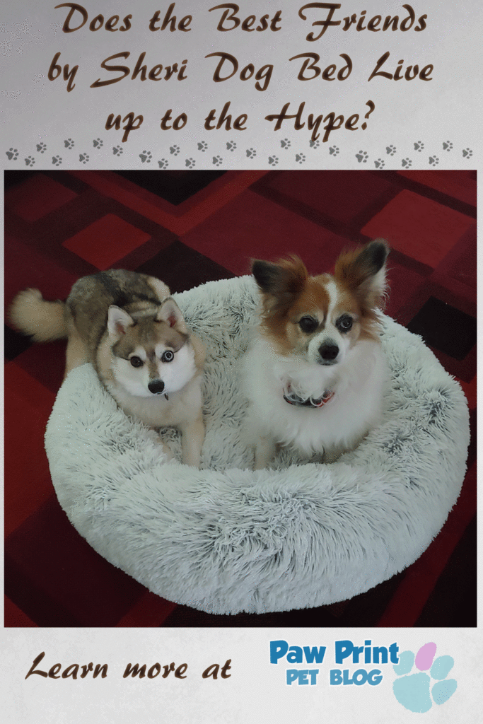 Best Friends by Sheri dog bed review