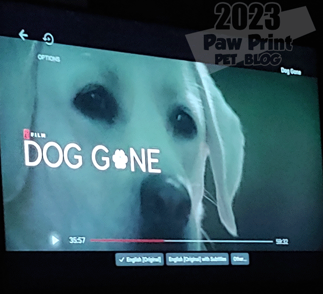 Dog Gone