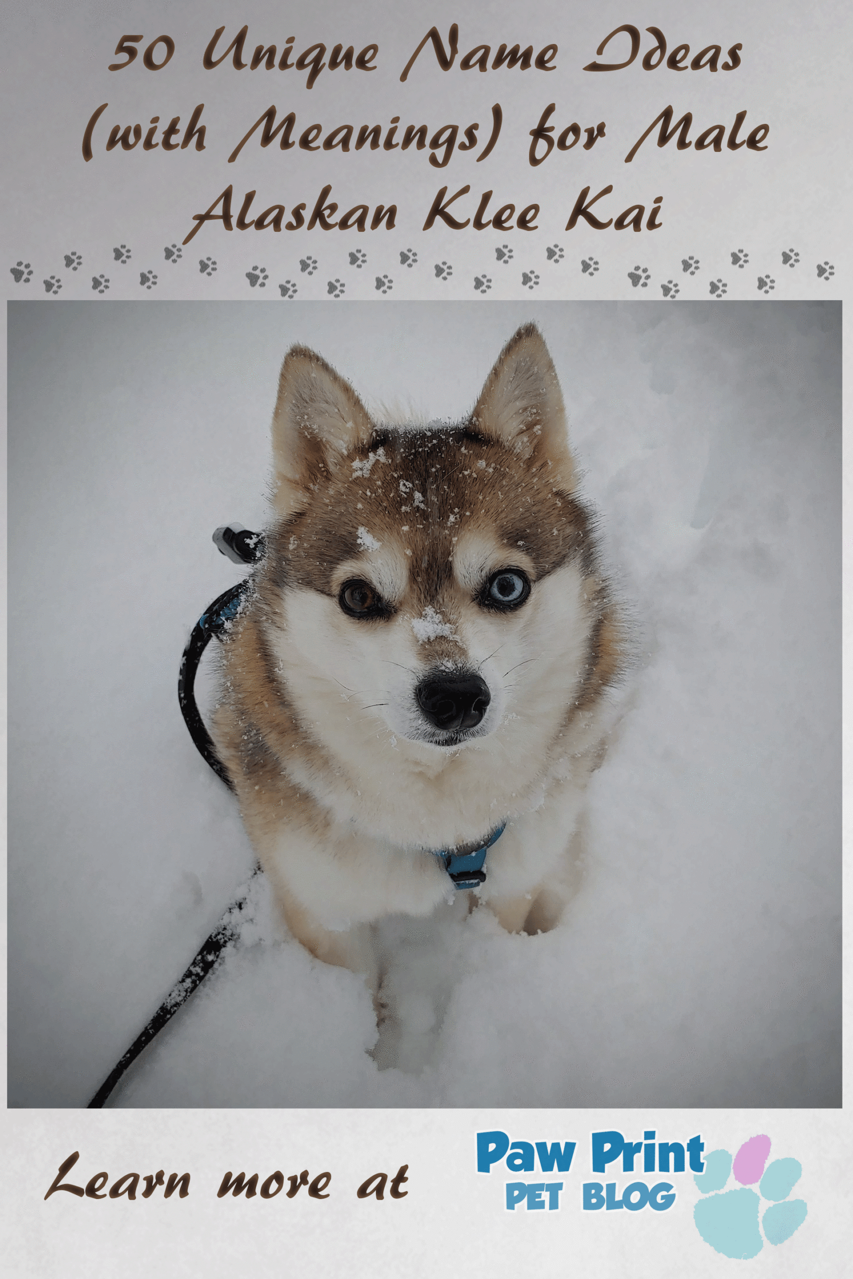 male Alaskan Klee Kai names