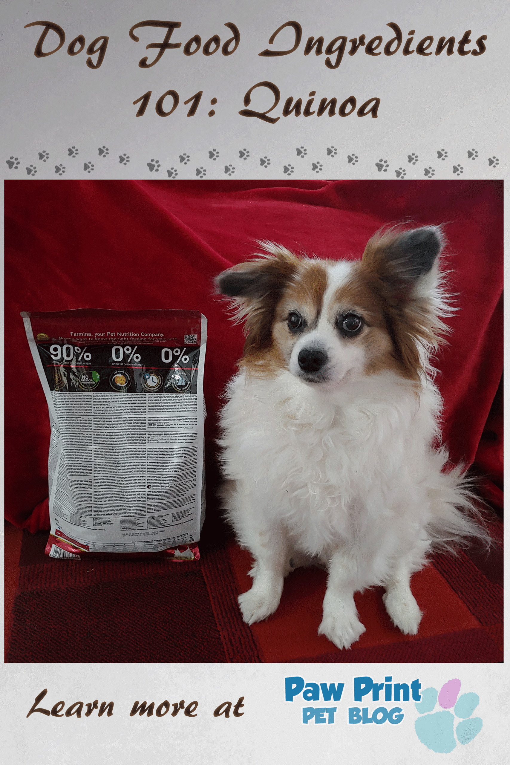 quinoa dog food
