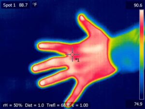 thermal imaging dog grooming