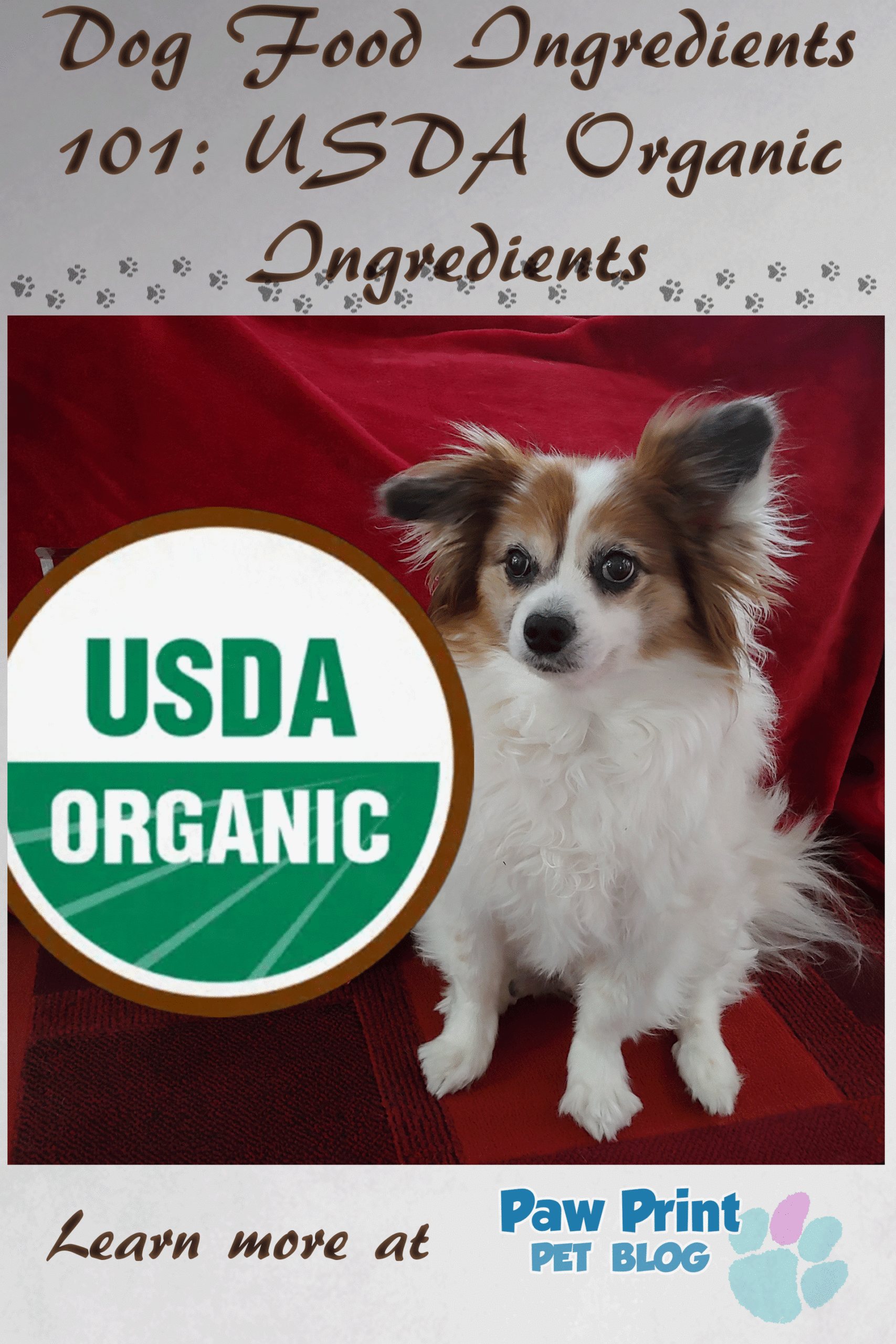USDA Organic Dog Food