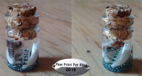 Preserving Puppy Teeth