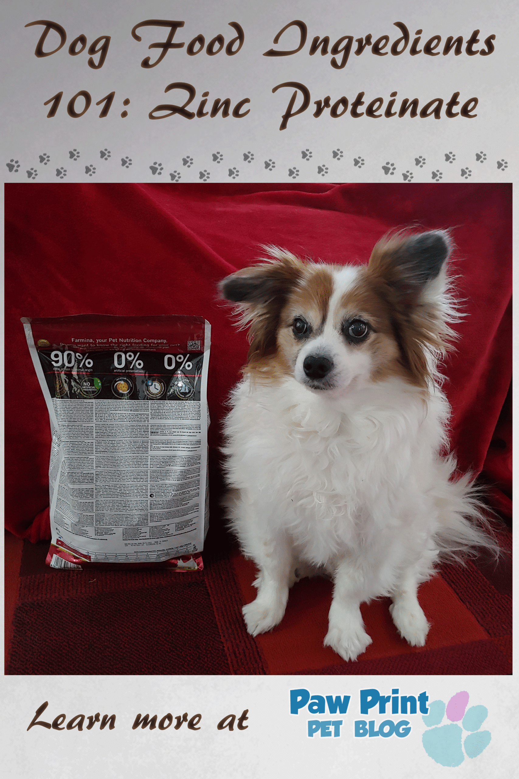 Zinc proteinate dog food