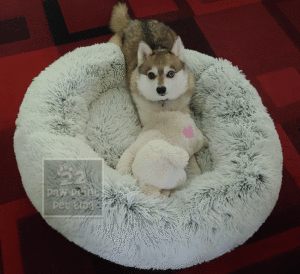 Best Friends by Sheri dog bed review