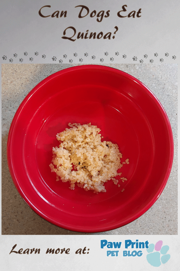 Can Dogs Eat Quinoa Paw Print