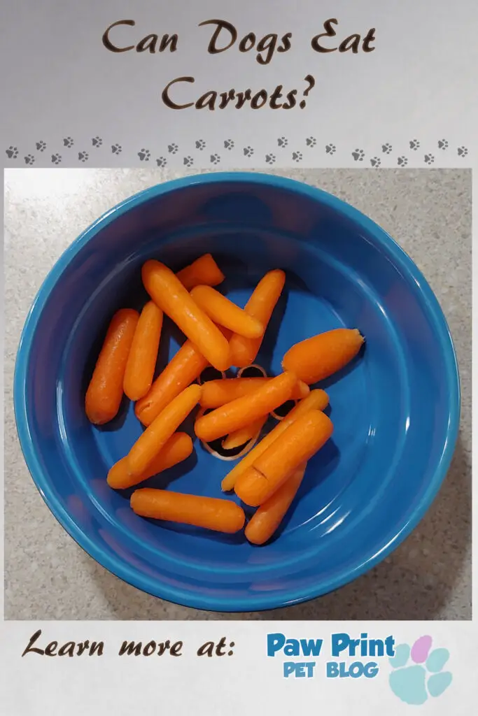 dogs carrots