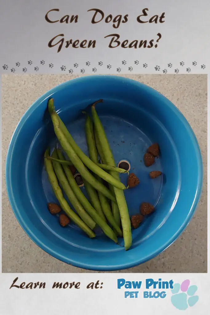 dogs green beans