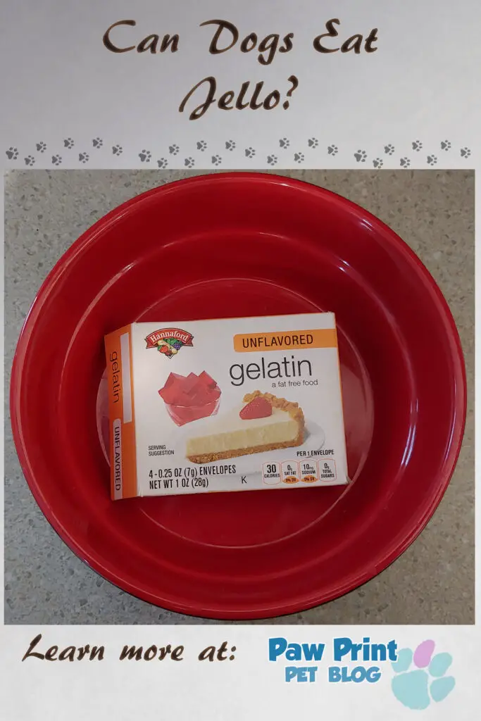 Can dogs have jello deals