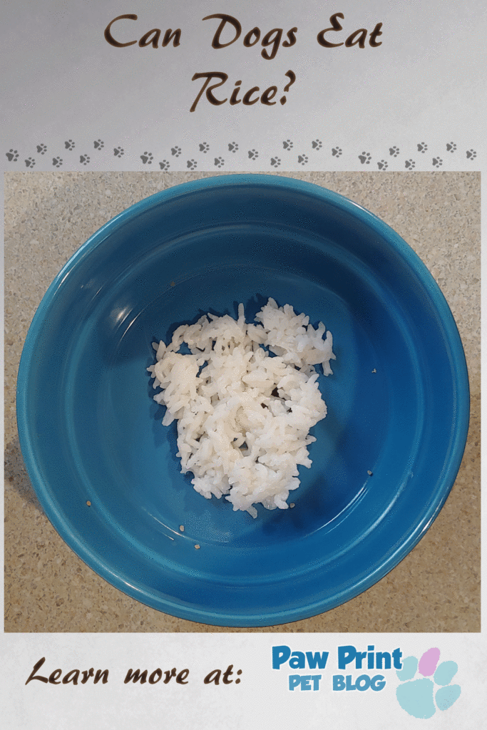dogs rice