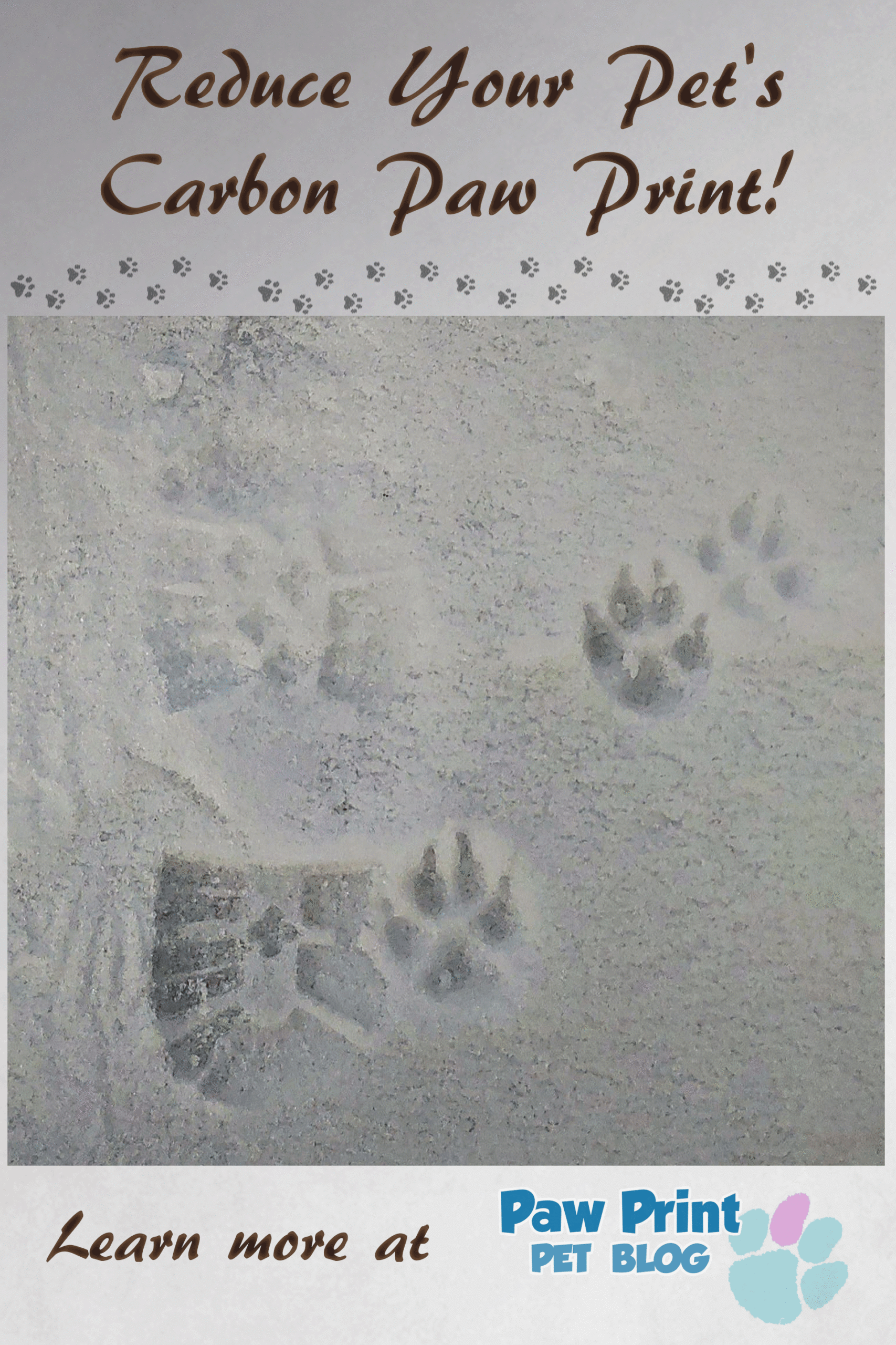 carbon paw print