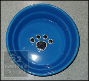 best pet bowl