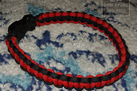 Types Dog Collars