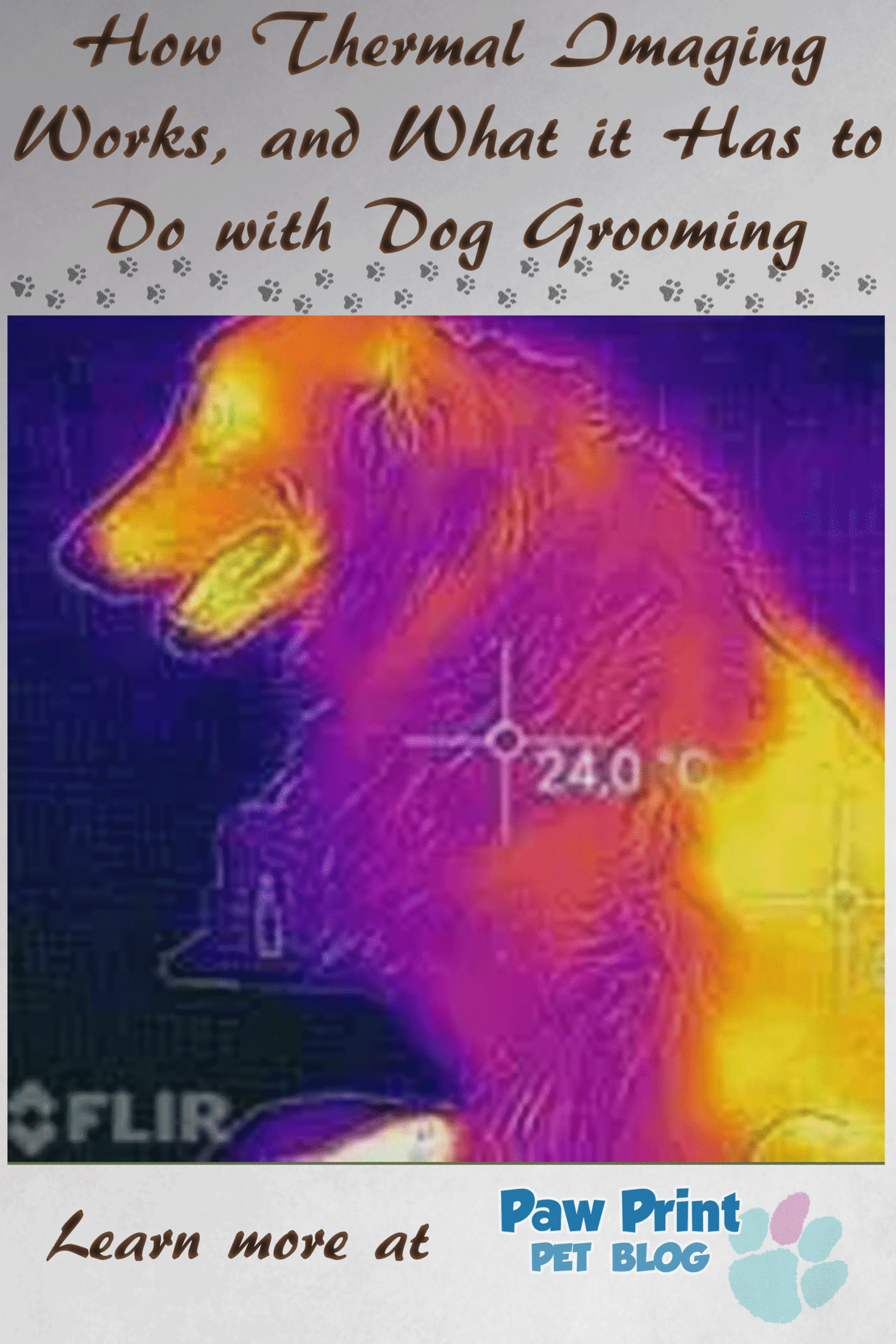 thermal imaging dog grooming