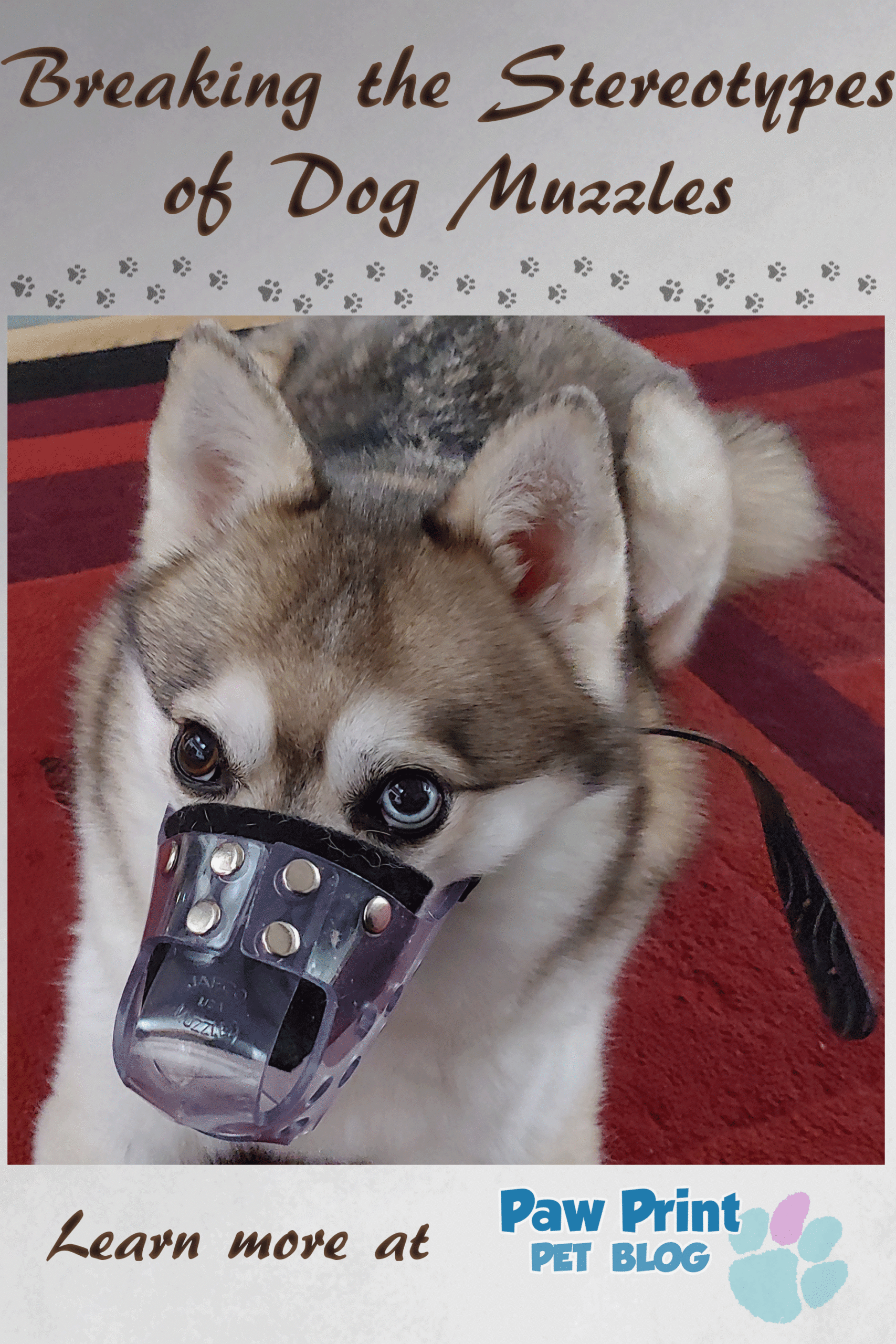 dog muzzle