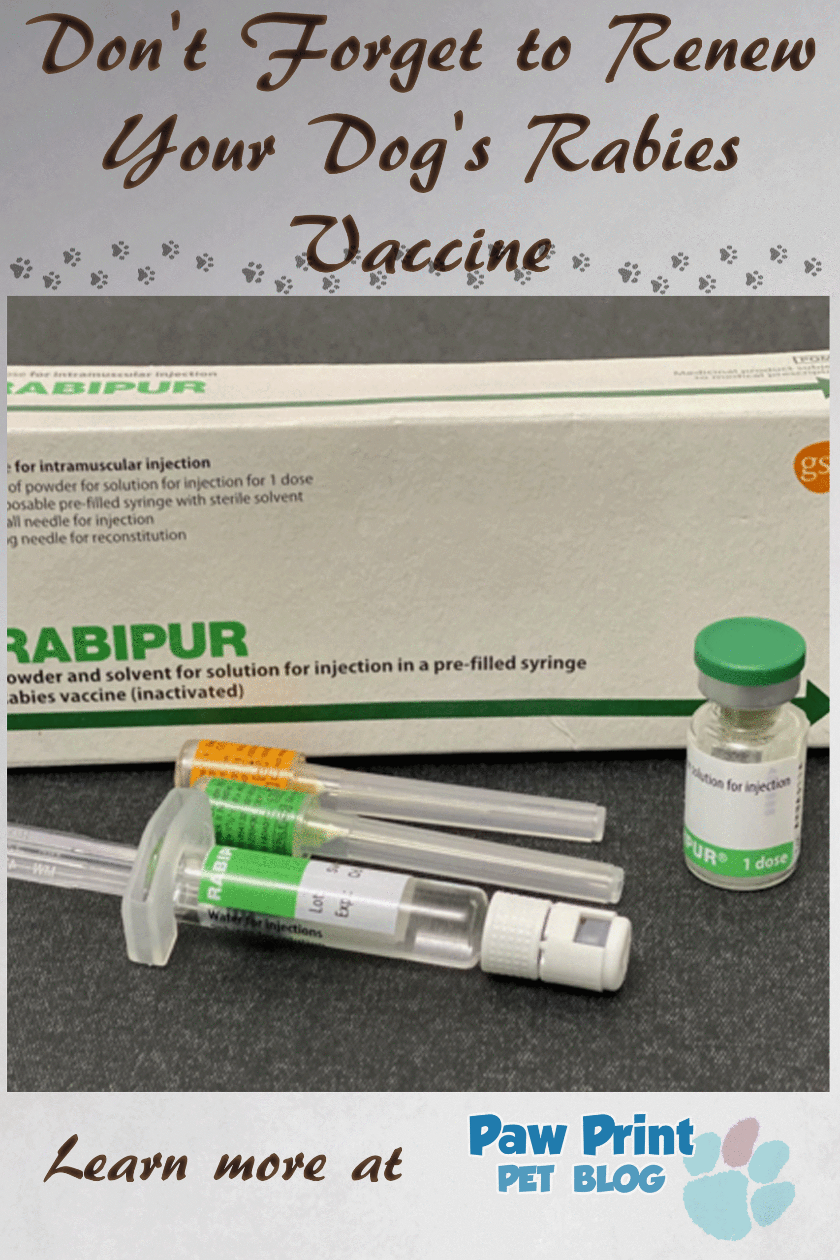 Dog rabies vaccine