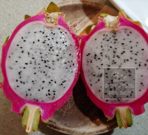 dogs dragon fruit