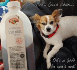 dogs vanilla