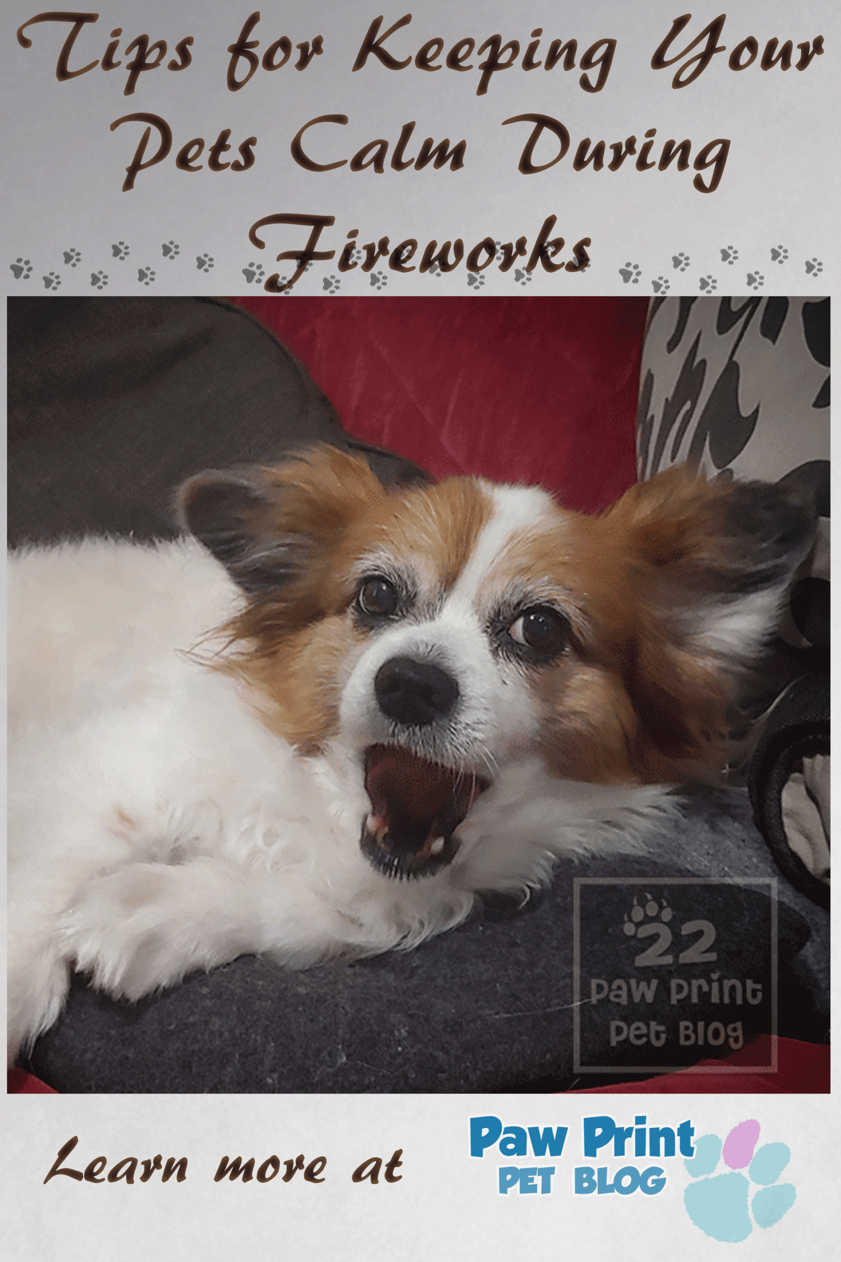 pets calm fireworks