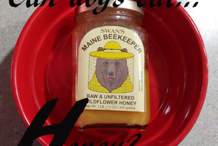 dogs honey