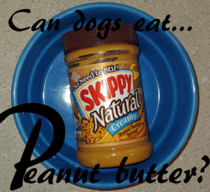 Can Dogs Eat Peanut Butter Paw Print