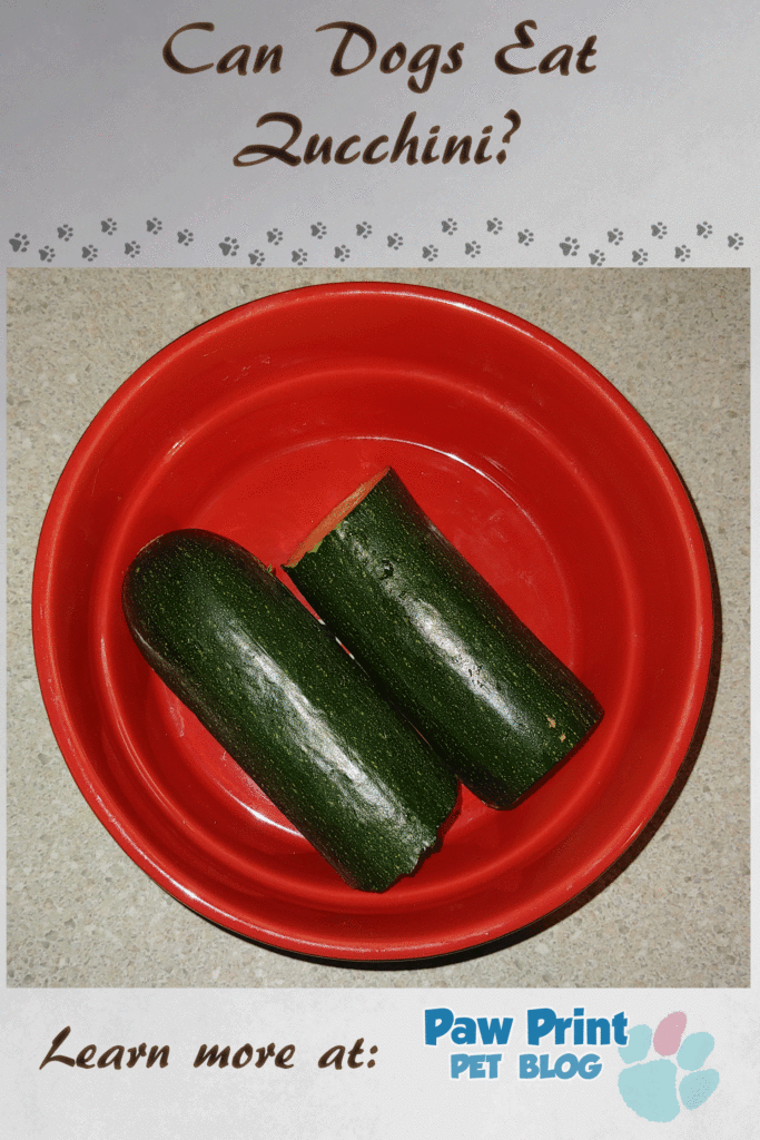 dpgs zucchini