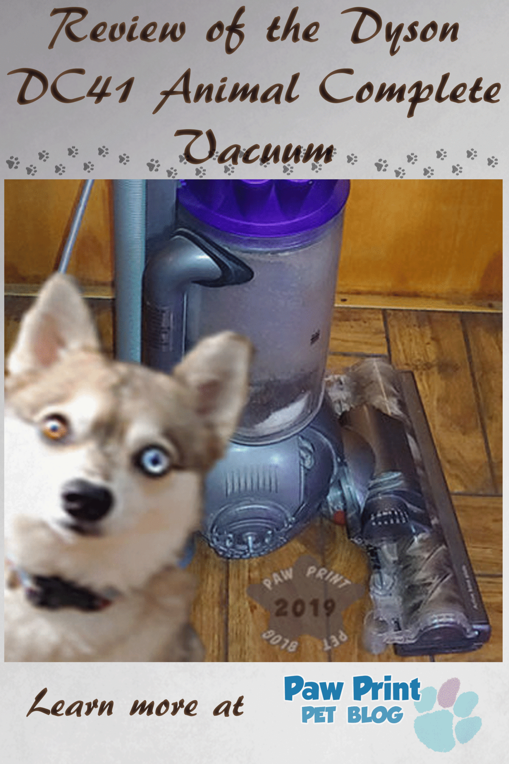 Dyson Vacuum