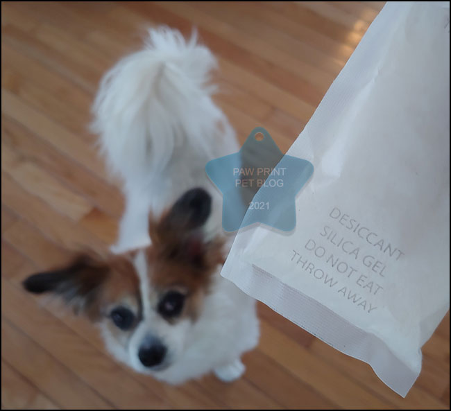 What Happens If A Dog Eats Silica Beads