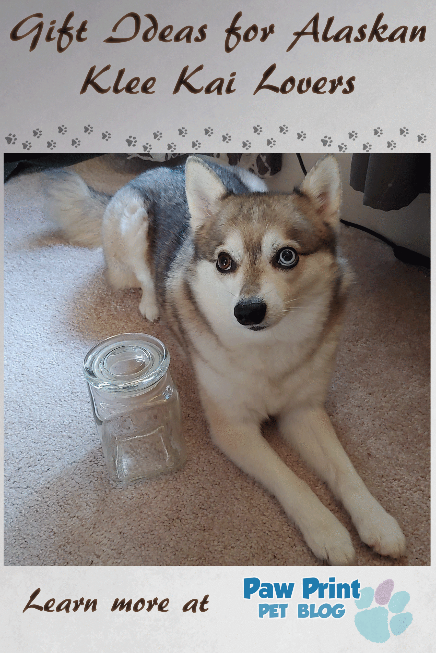 gift Alaskan Klee Kai