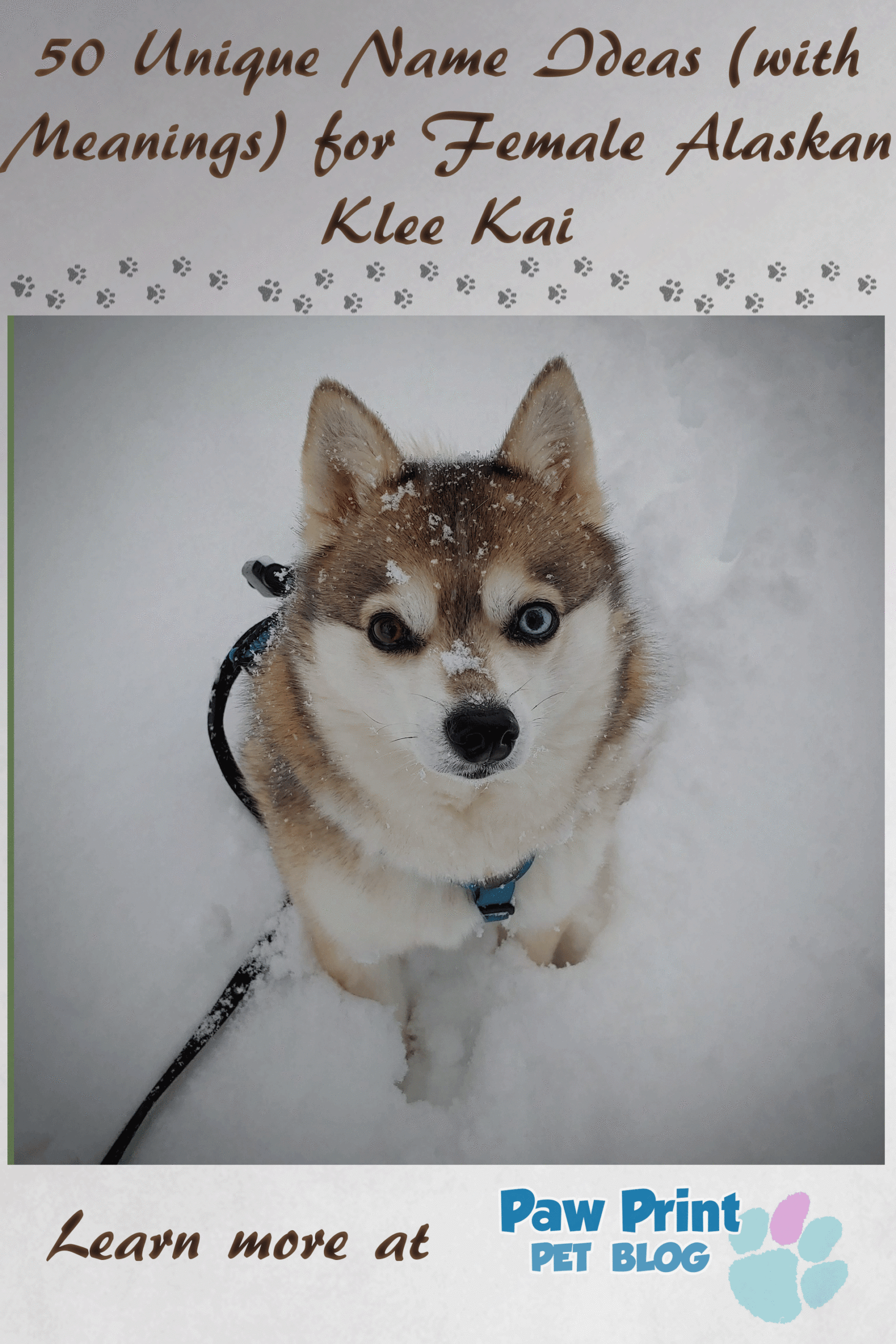 female Alaskan Klee Kai names