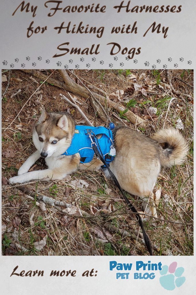 harness hiking small dogs