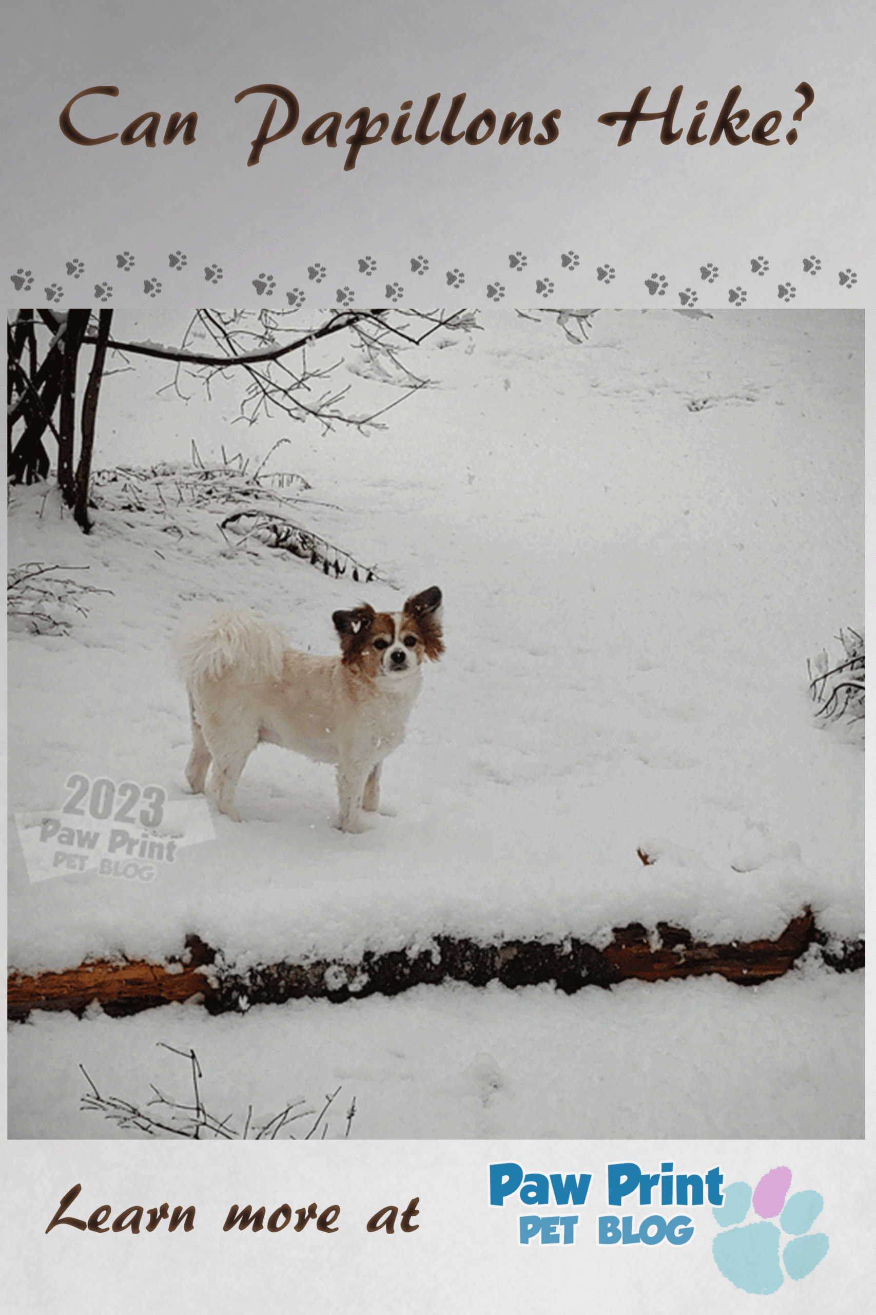 Papillons Hike