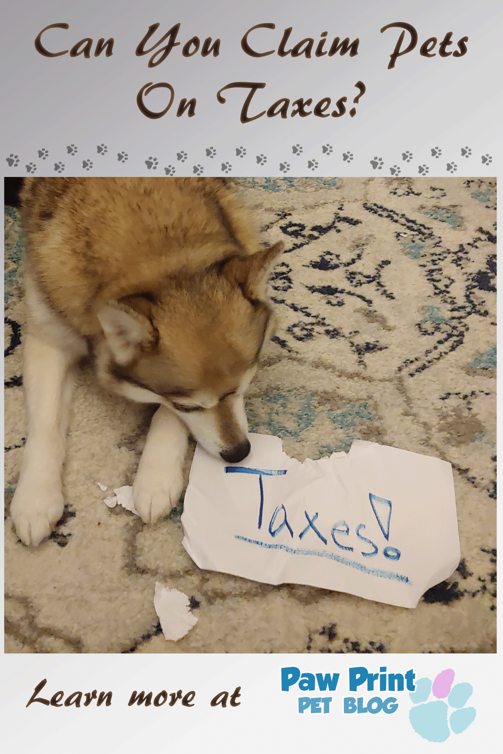 pets taxes