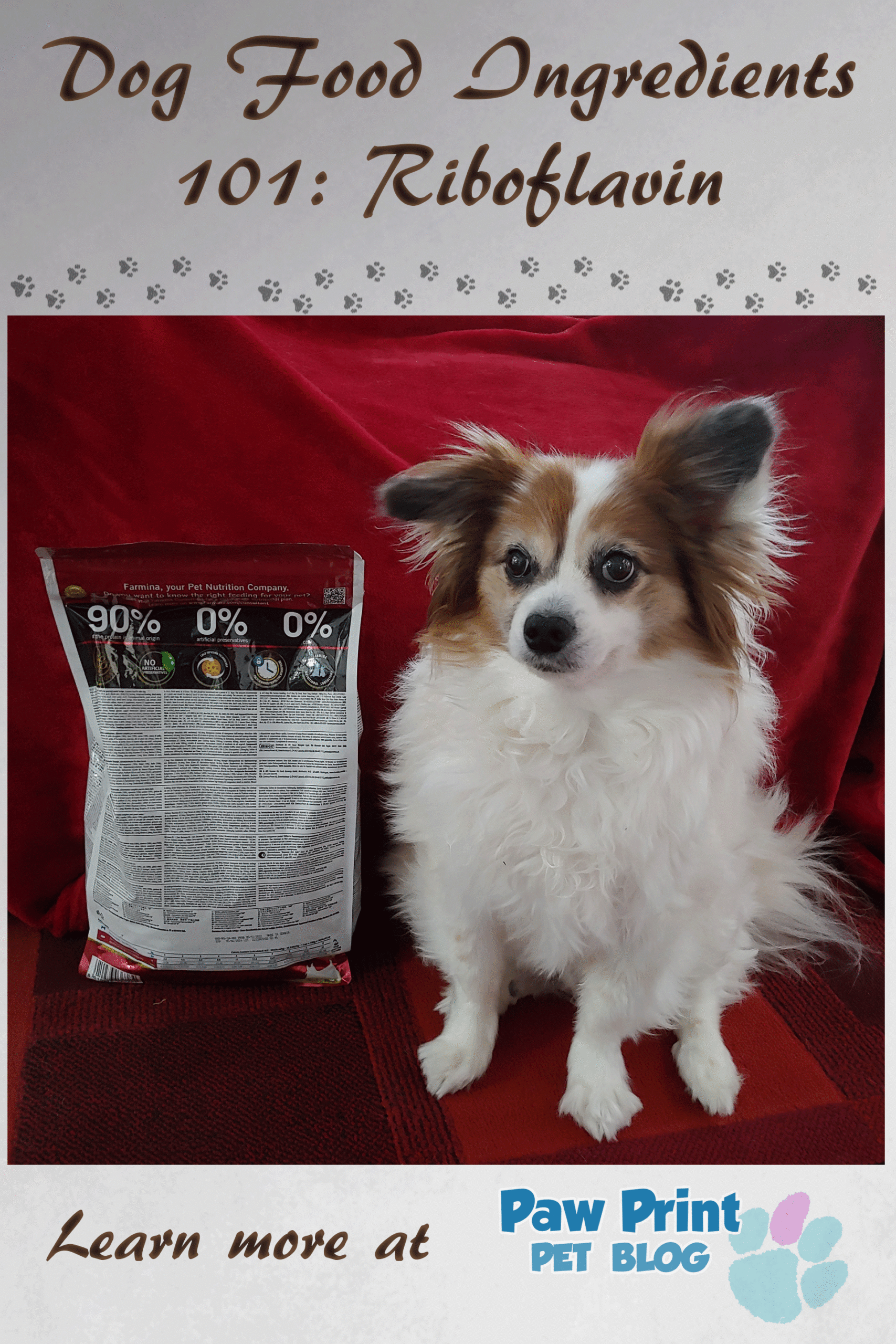 riboflavin dog food