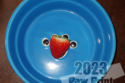 dogs eat strawberries