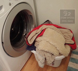 pet laundry