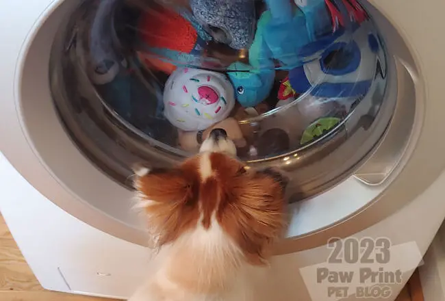wash plush dog toys
